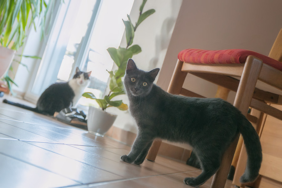 Lena und Lyla
