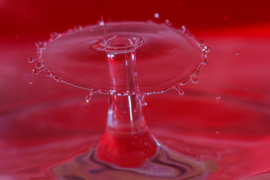 Wassertropfen auf Wassertropfen