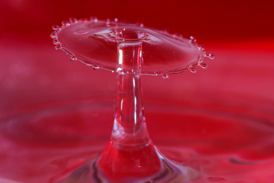 Wassertropfen auf Wassertropfen