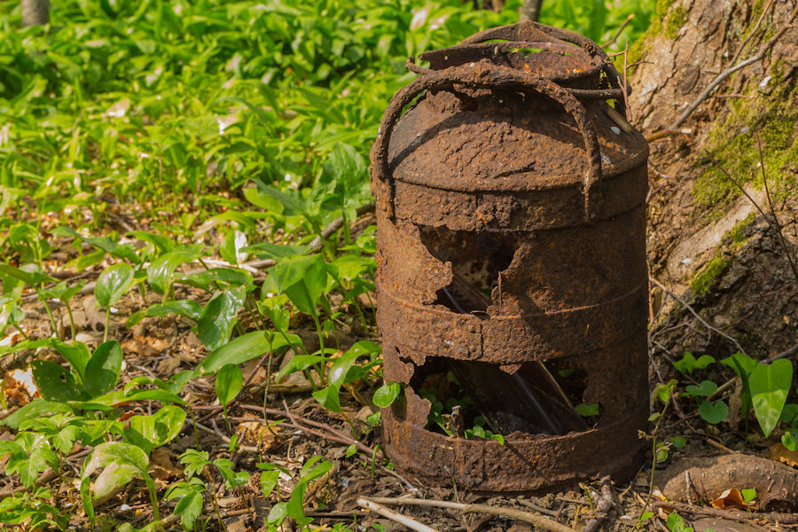 alte Milchkanne im Wald