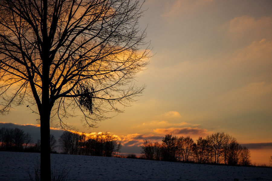 Kurz vor Sonnenuntergang