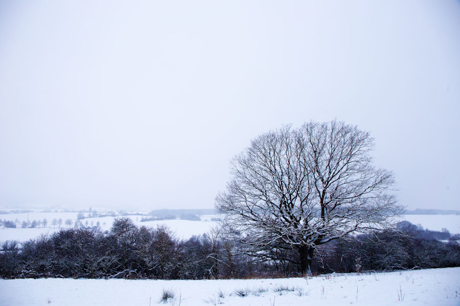 Winterlandschaft