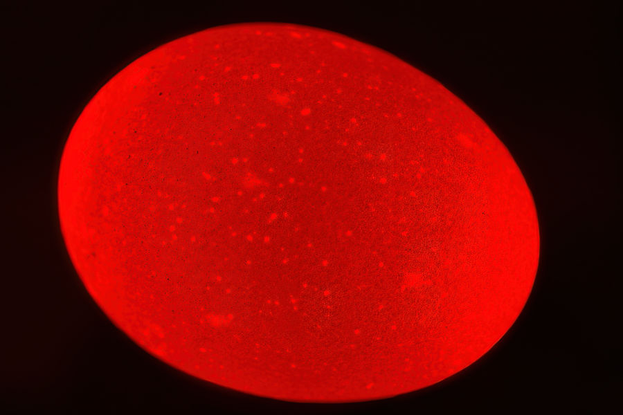 Der Planet Mars oder doch ein Hühnerei