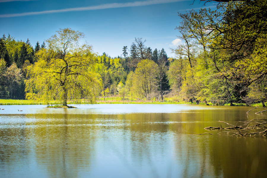 Kleiner See