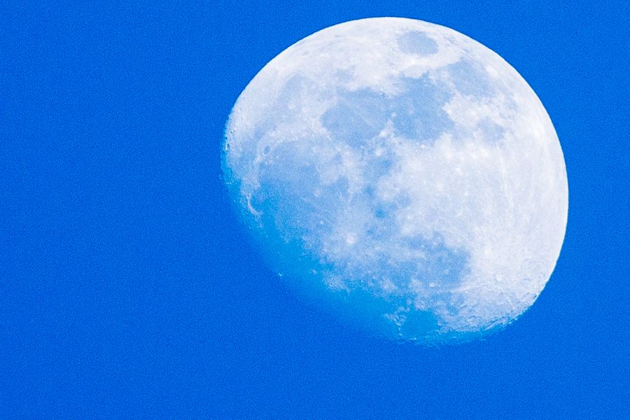 Mond