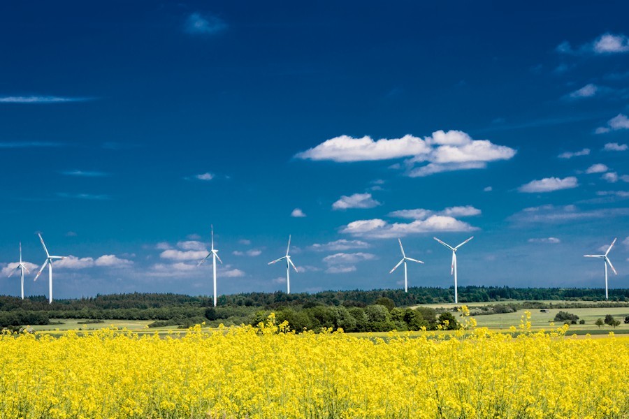 Windpark Waldhausen